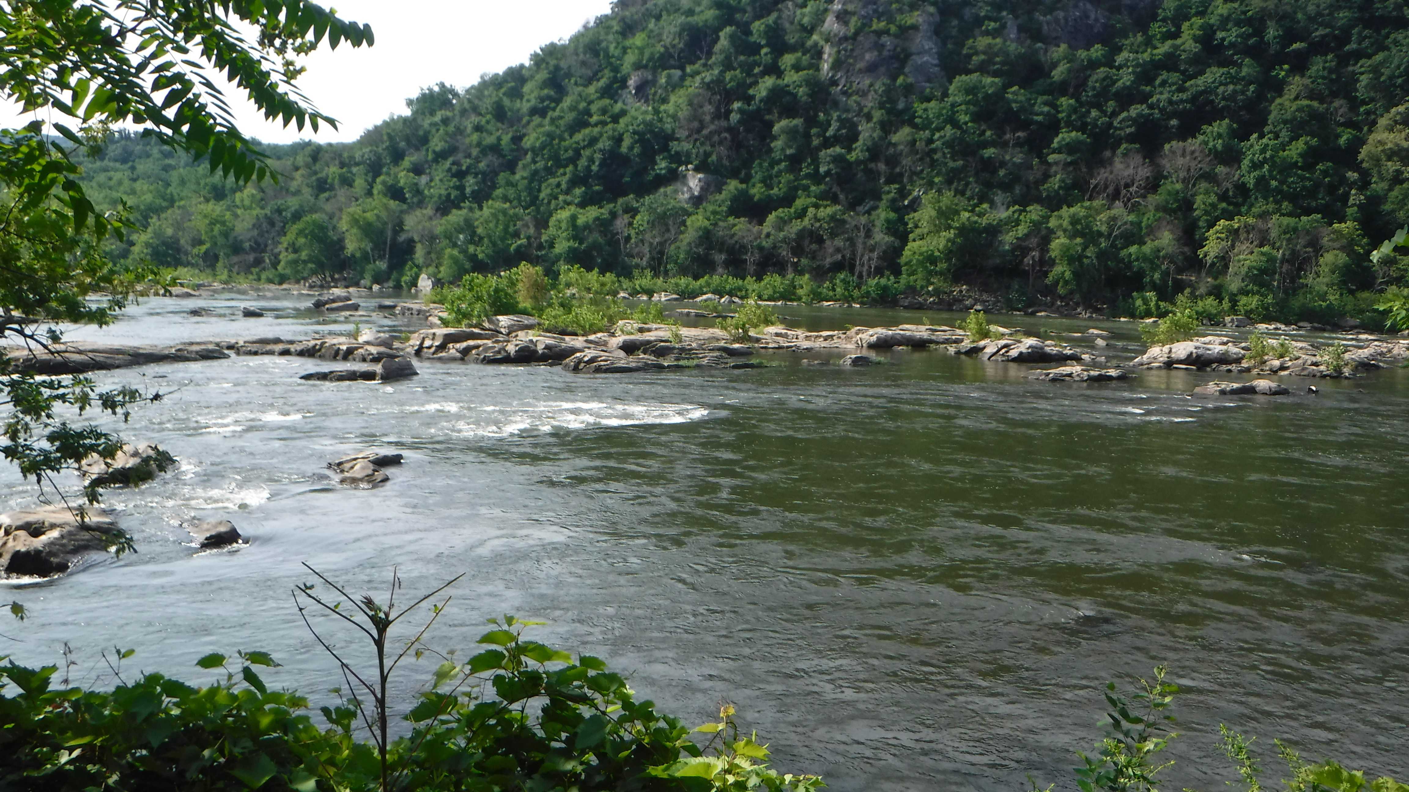 AT 2017 Day 80, Harpers Ferry to Dahlgren Backpack Campground Hike