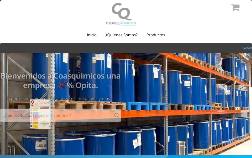 Captura del proyecto Carrito de compras