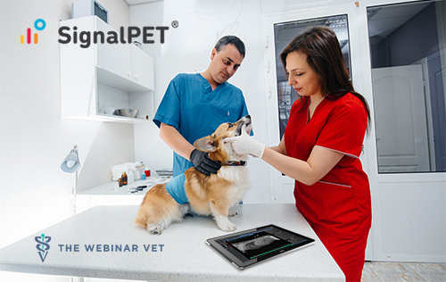 Veterinary Radiology: New Challenges, New Standard