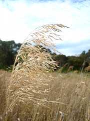 Banking on a Startup loan?