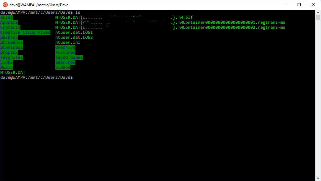 Screenshot of Bash shell working on Windows