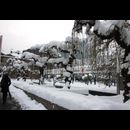 Serbia Belgrade Snow 16