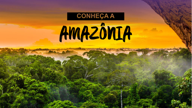 Imagem em destaque para o artigo: Parabéns, Amazônia?