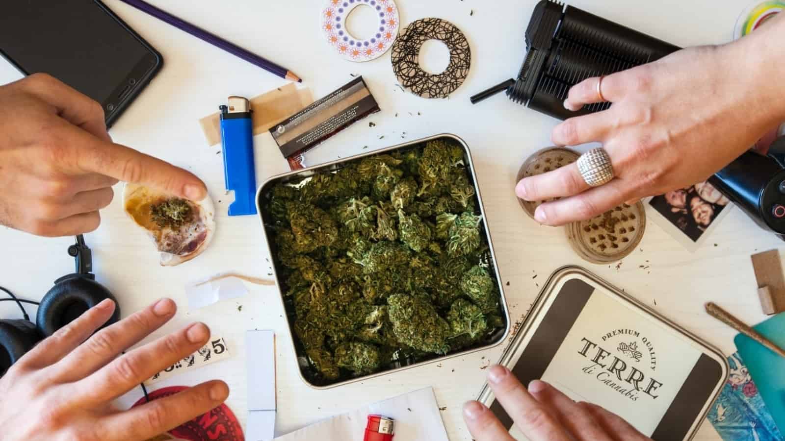 Dry Cannabis Herb