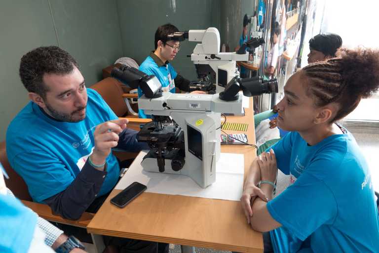 Pathology Fellowship Program Montefiore Medical Center