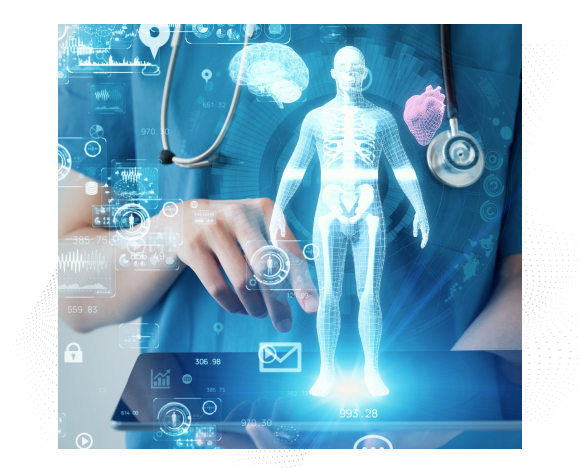 Ein Medizintechniker interagiert mit einem digitalen anatomischen Modell