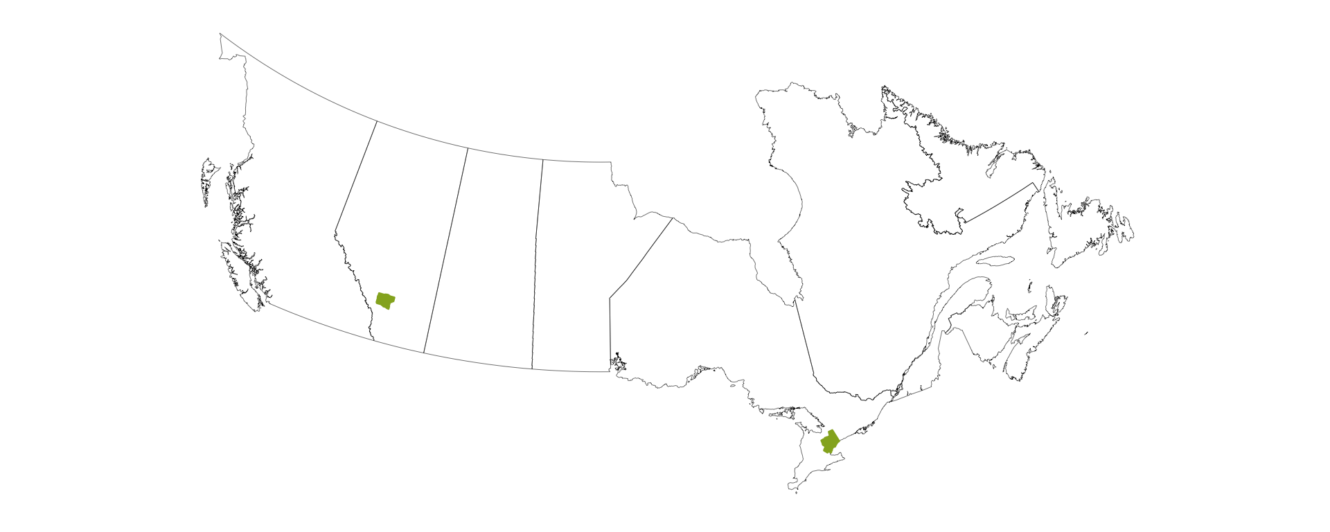 Amazon The Canadian Data