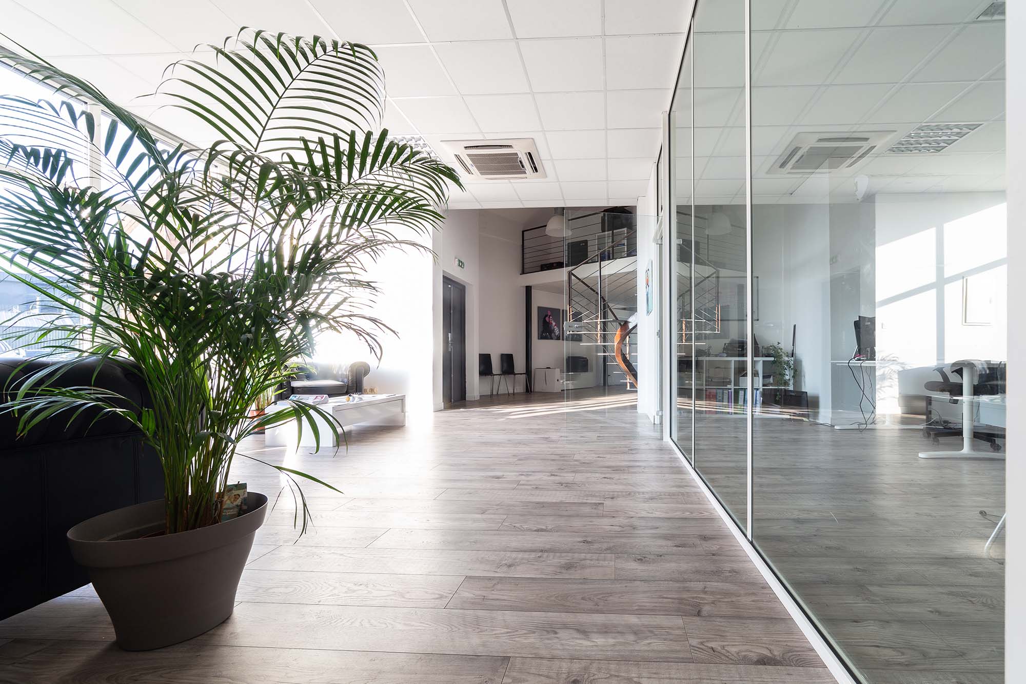 Agence Web Haute Garonne