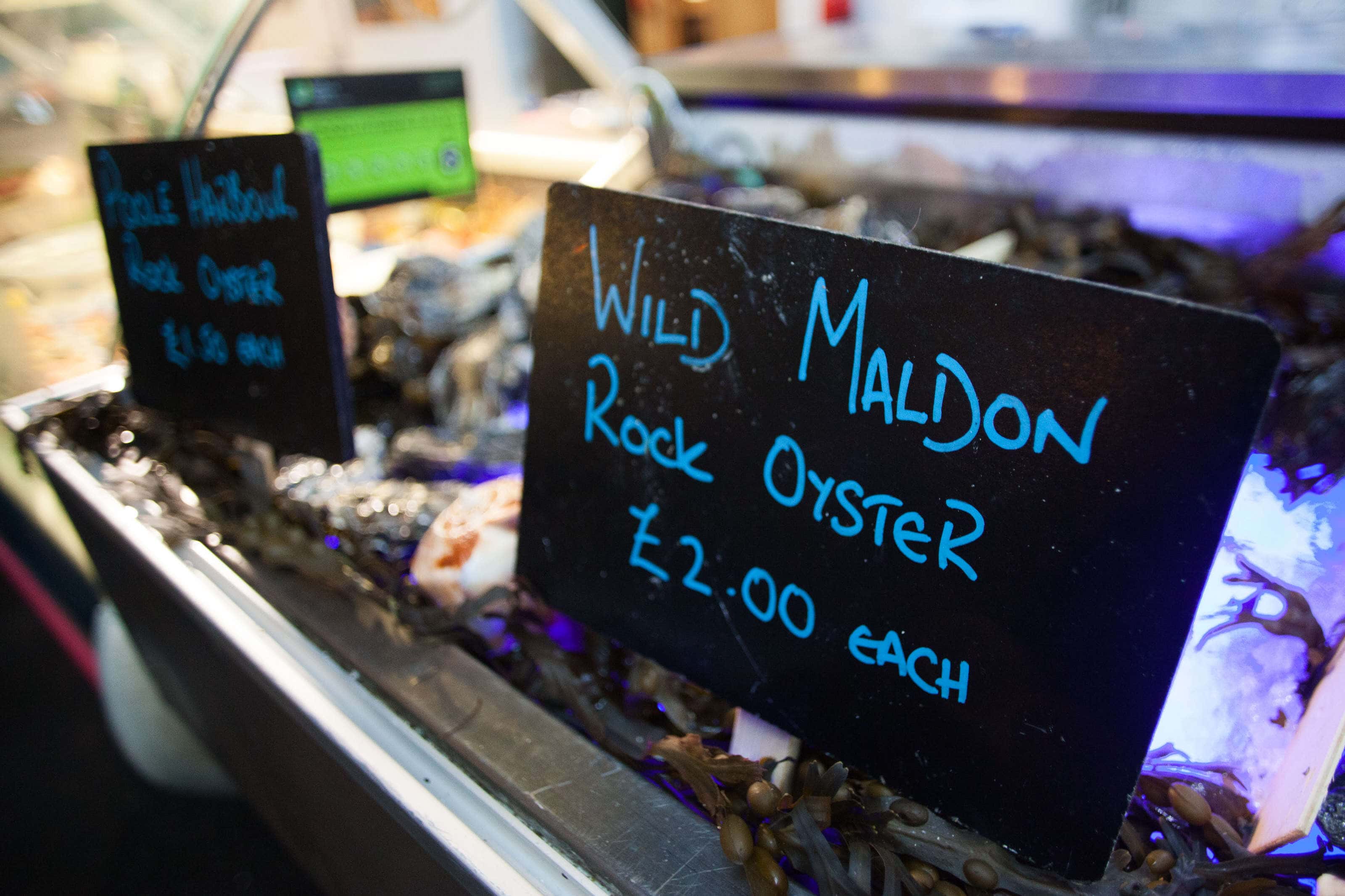 A sign for wild molden rock oysters