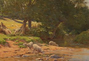 Sheep at a Creek