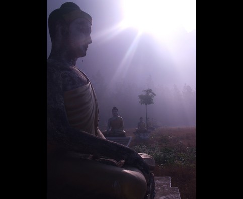 Burma Morning Buddhas 8
