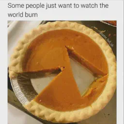 Picture of a pumpkin pie where one of the pieces is cut from the
center