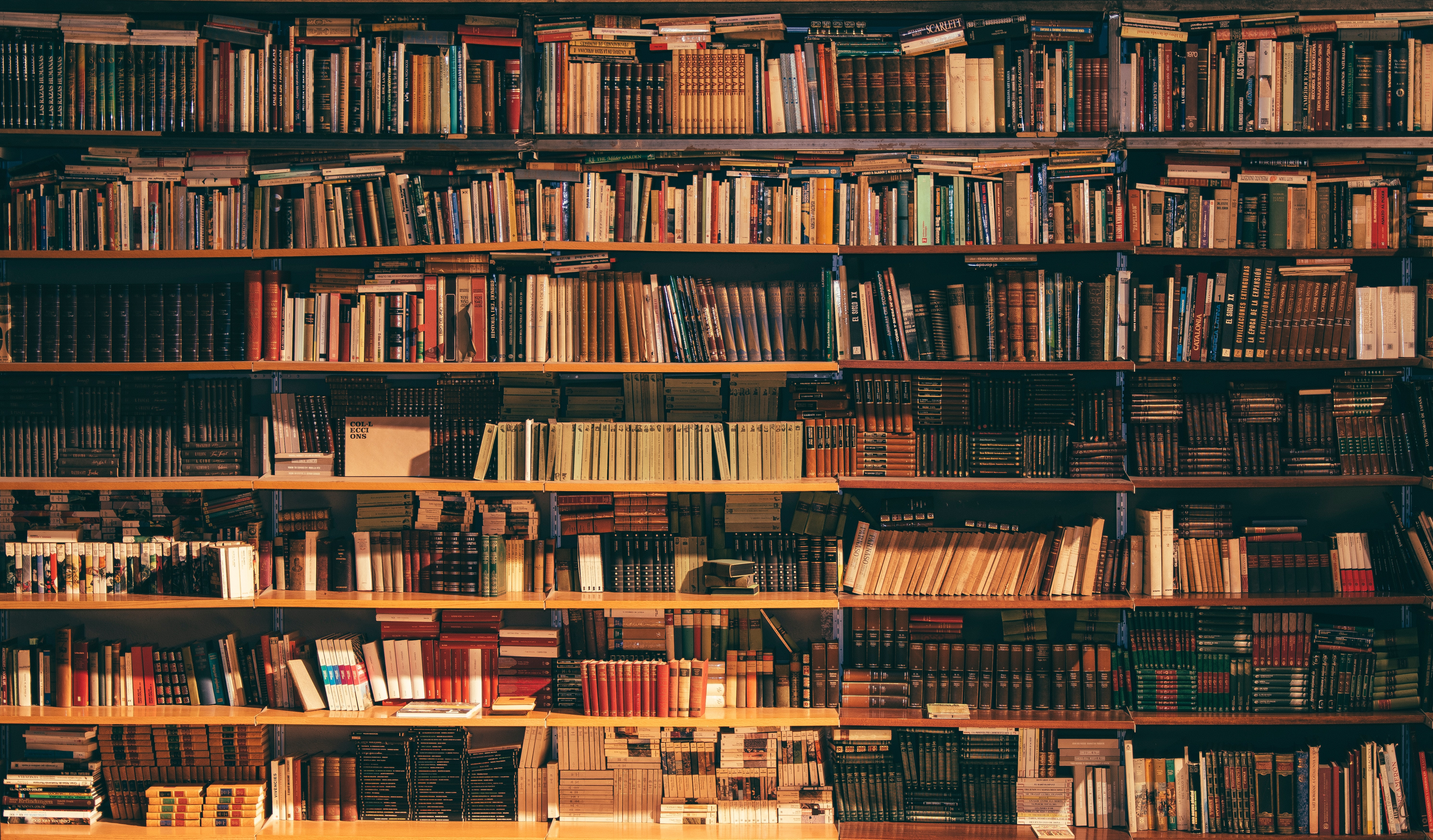Image of a bookshelf