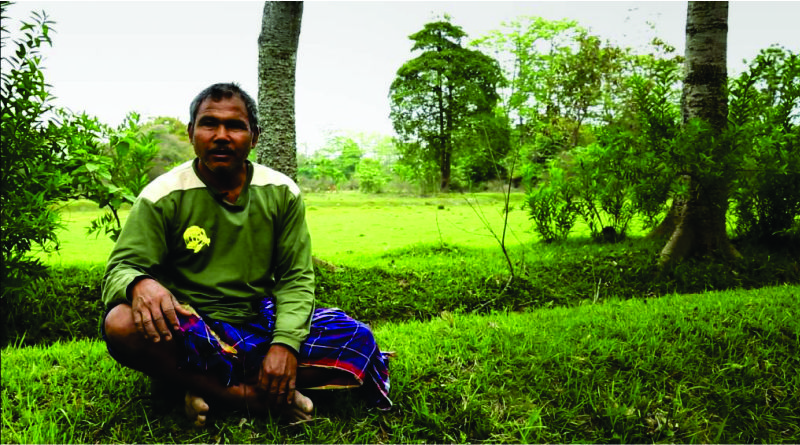 Imagem em destaque para o artigo: Jadav Payeng, o homem da floresta da Índia