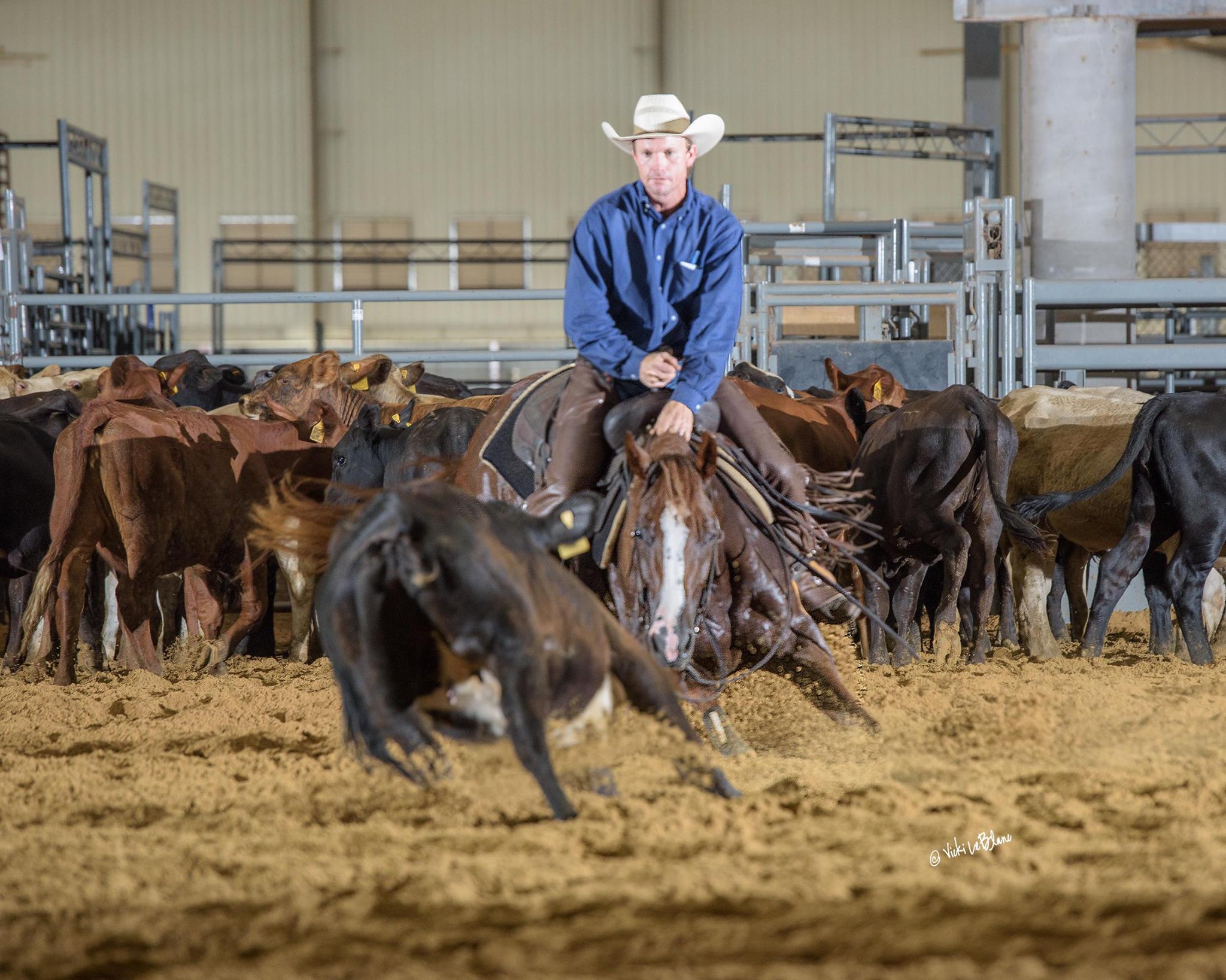 Craig Gilham rounding up cattle