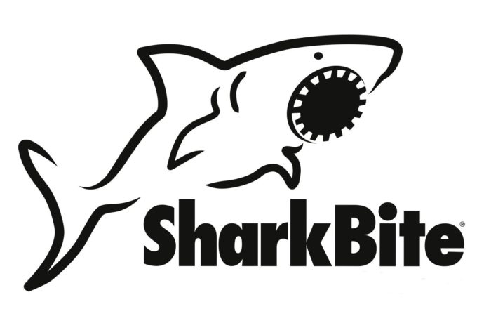 shark bite