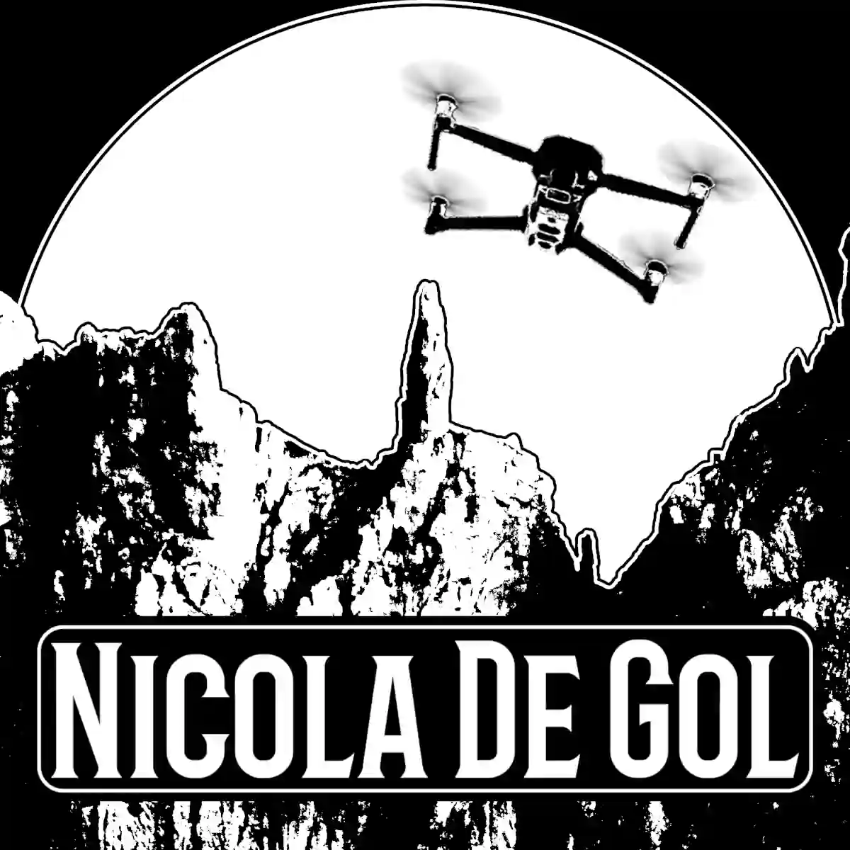 logo Nicola De Gol quadrato