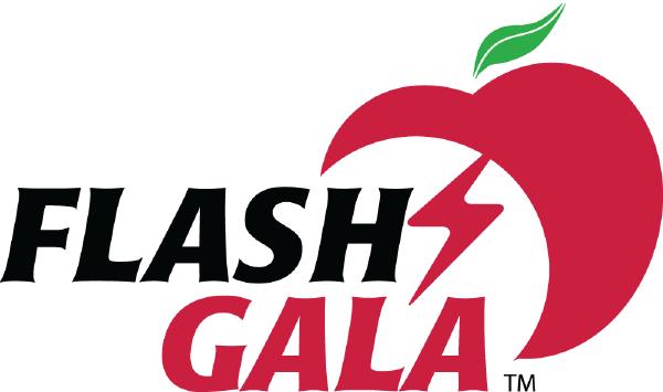 Flash Gala