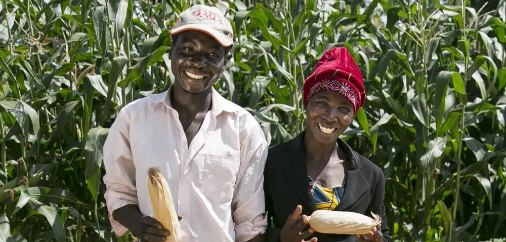 Two farmers standing in their field with corn.