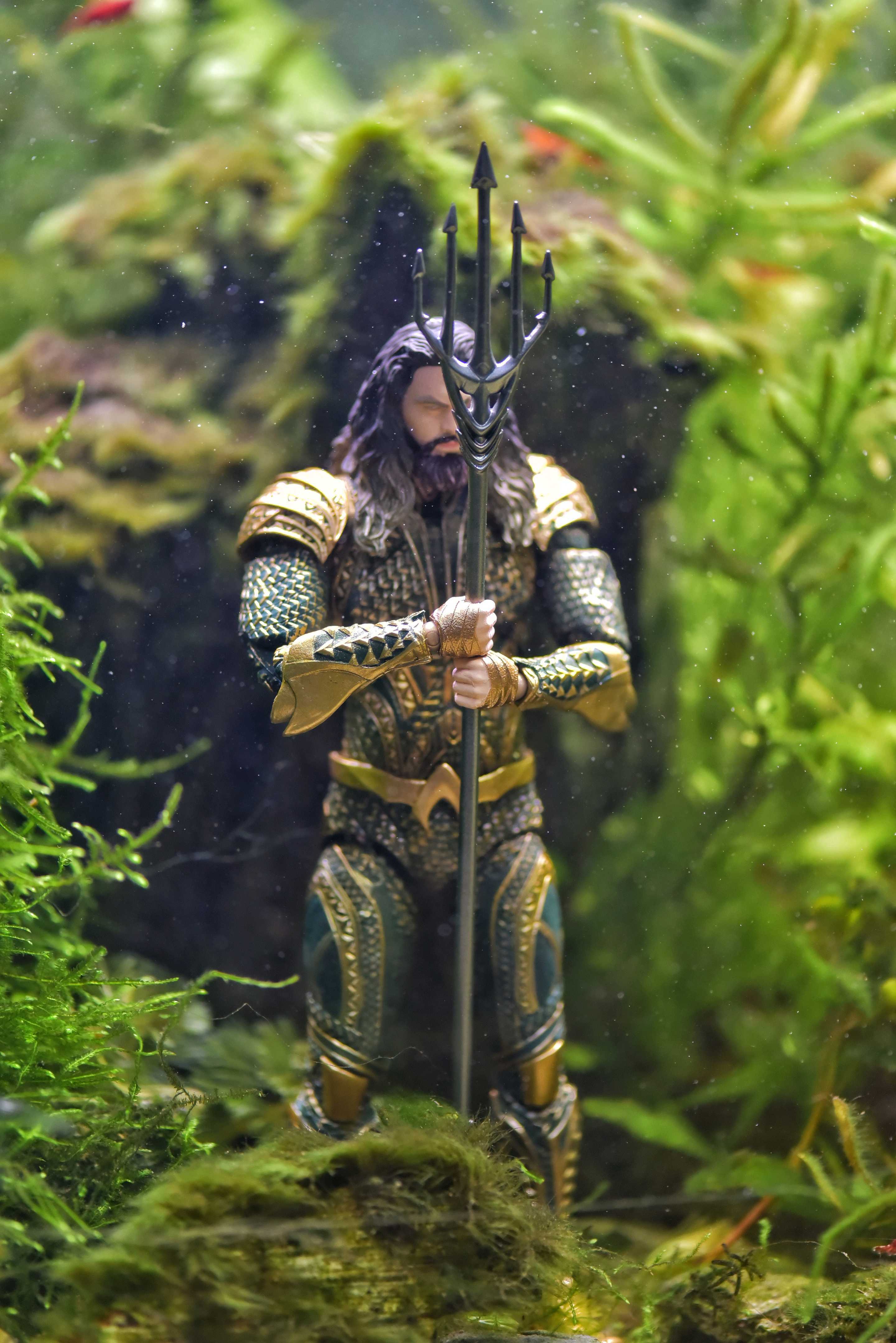 Aquaman In Fish Tank