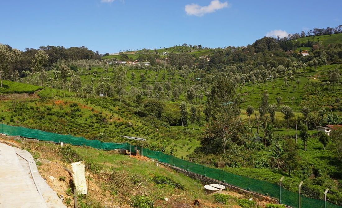 Hill Valley Enclave Property in Wellington Coonoor