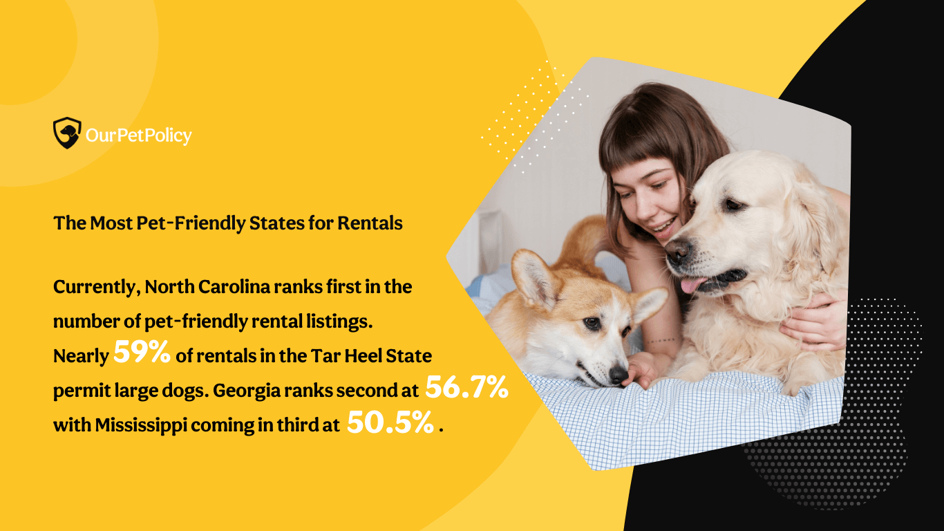 States with most pet-friendly rentals 