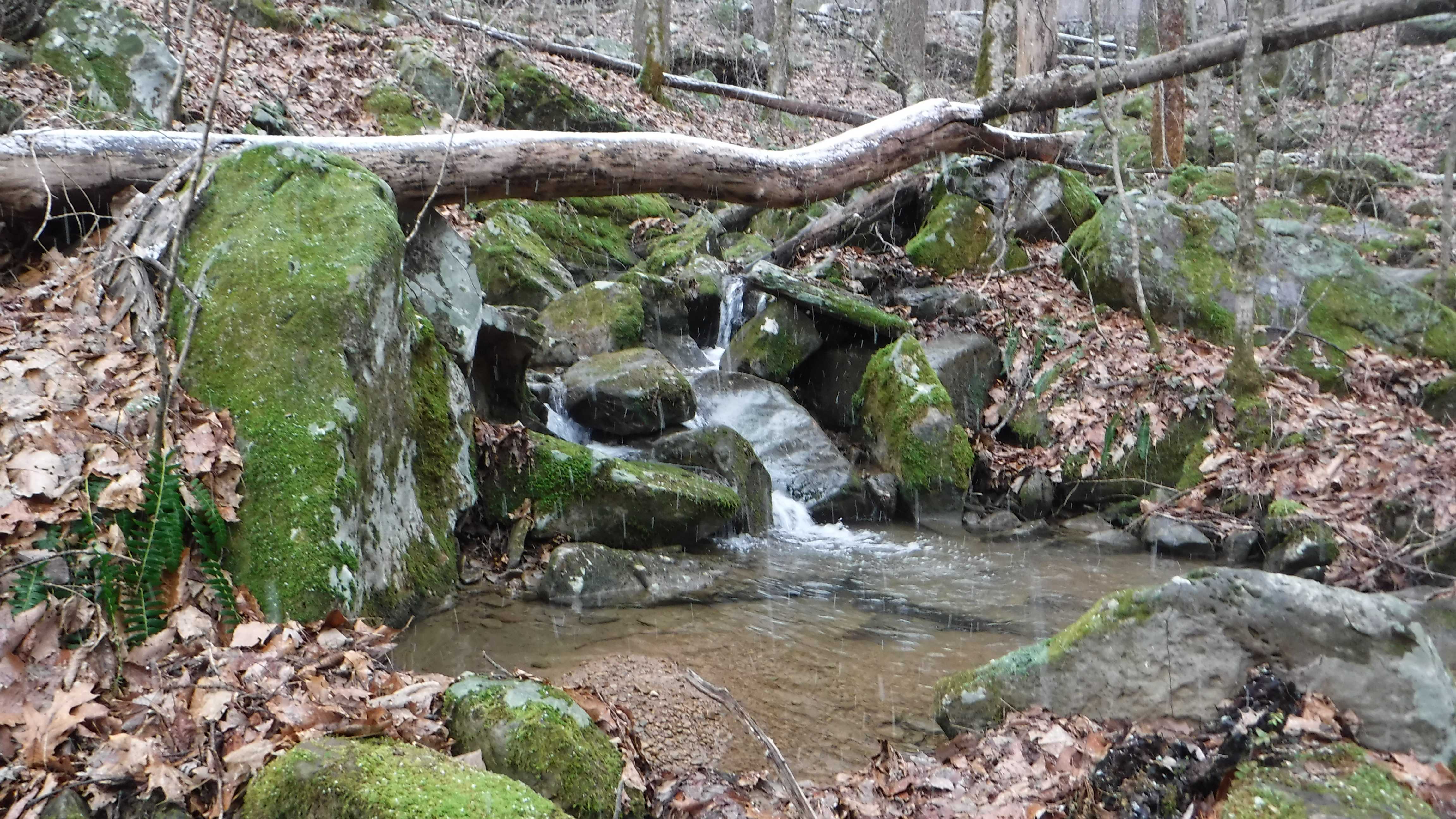 Frozen Head State Park Chimney Top Trail to Spicewood Trail Loop Hike with Gravity