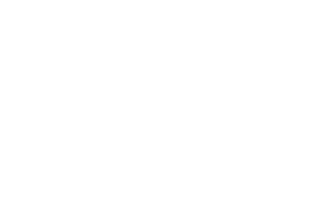 zeiss-reverse