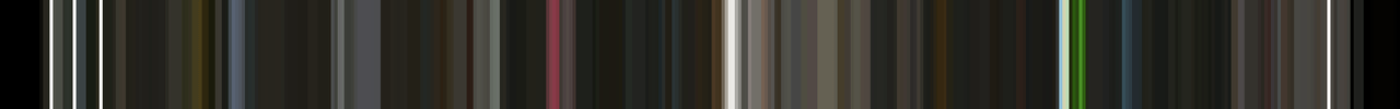A barcode of colors from the vid Prophecy