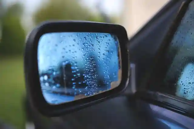 cover your car mirrors to prevent bird poop