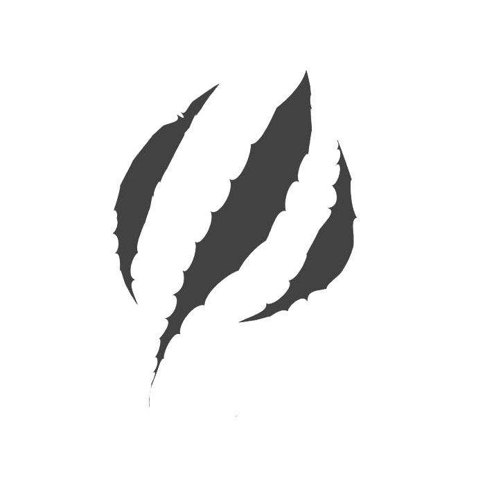 Raptor Framework