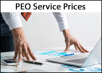 PEO Service - Employee Leasing Cost