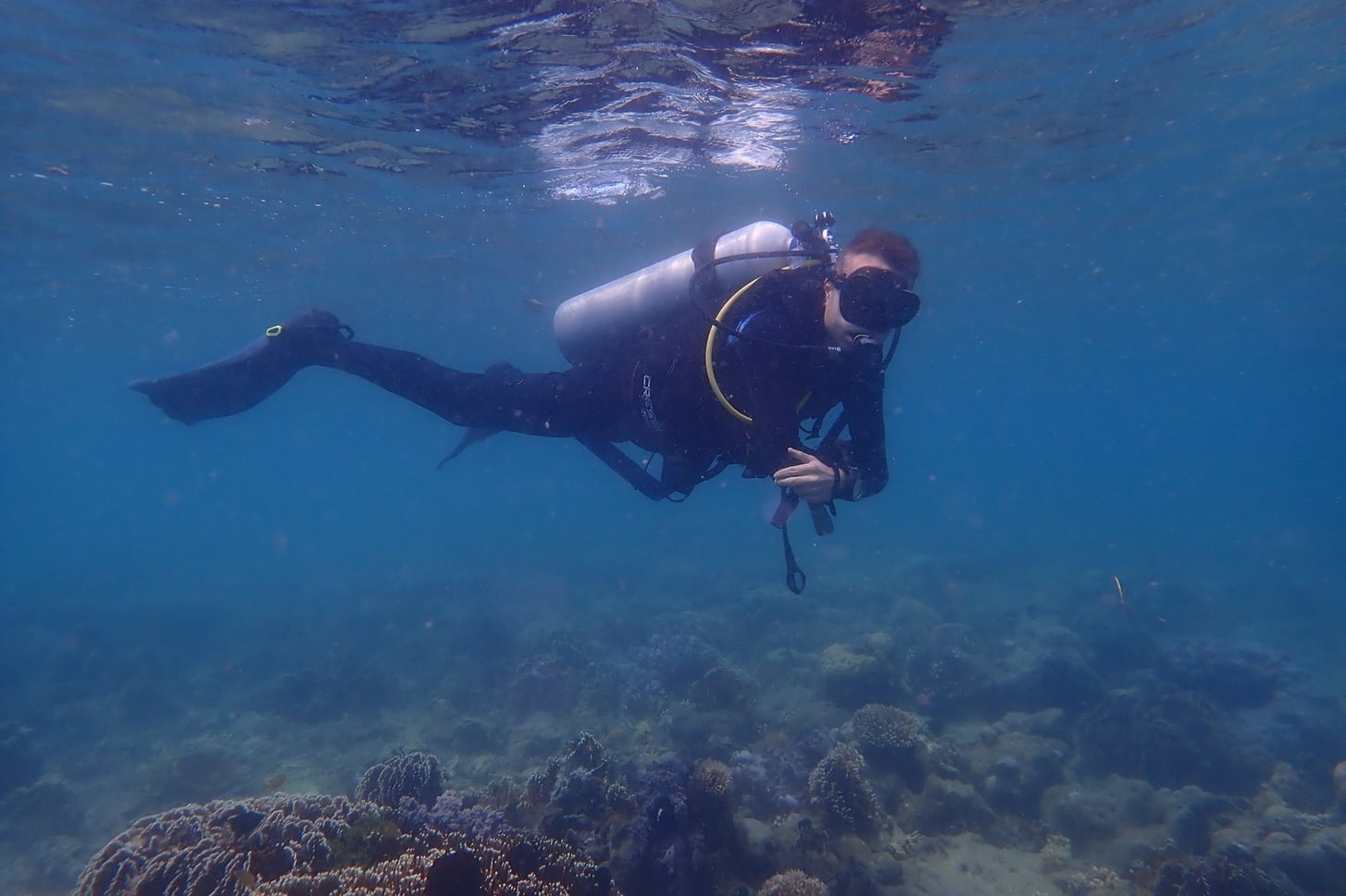 Photo: A Diver as part of Sorce’s underwater research team