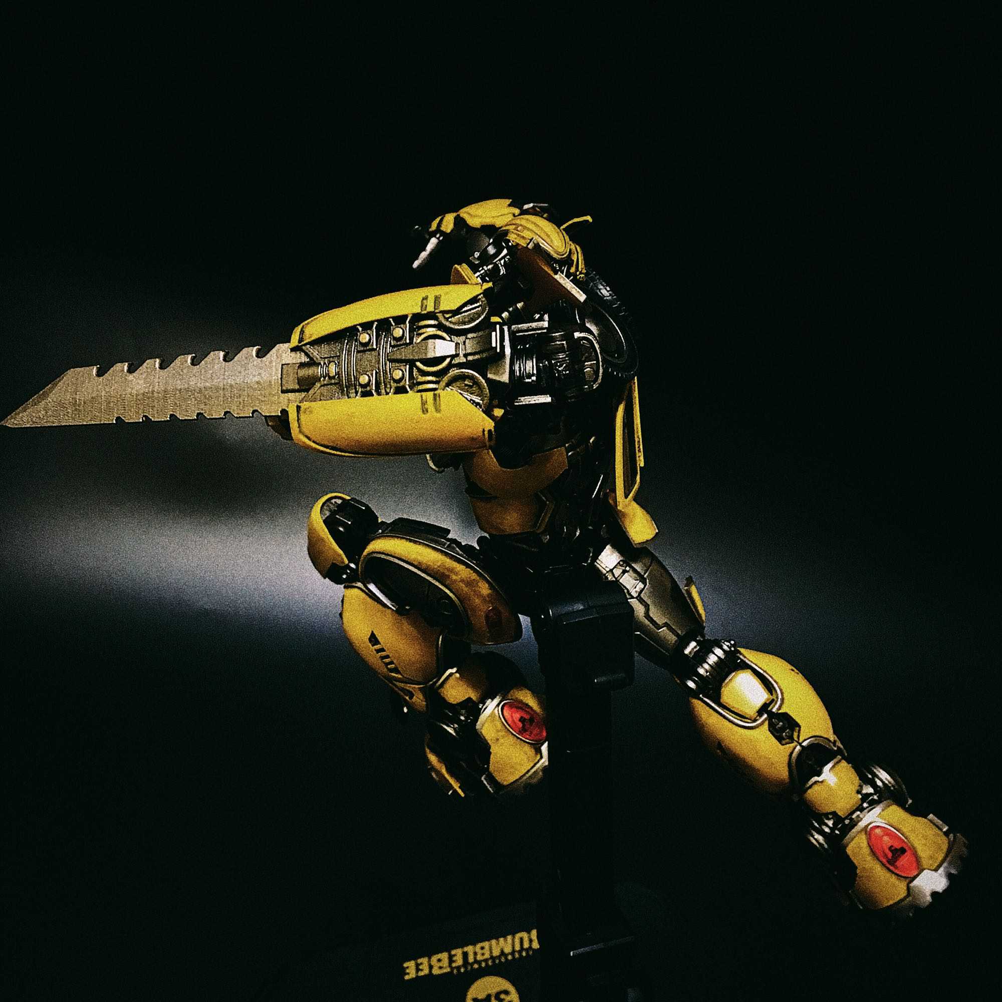 When Bumblebee Has Blade