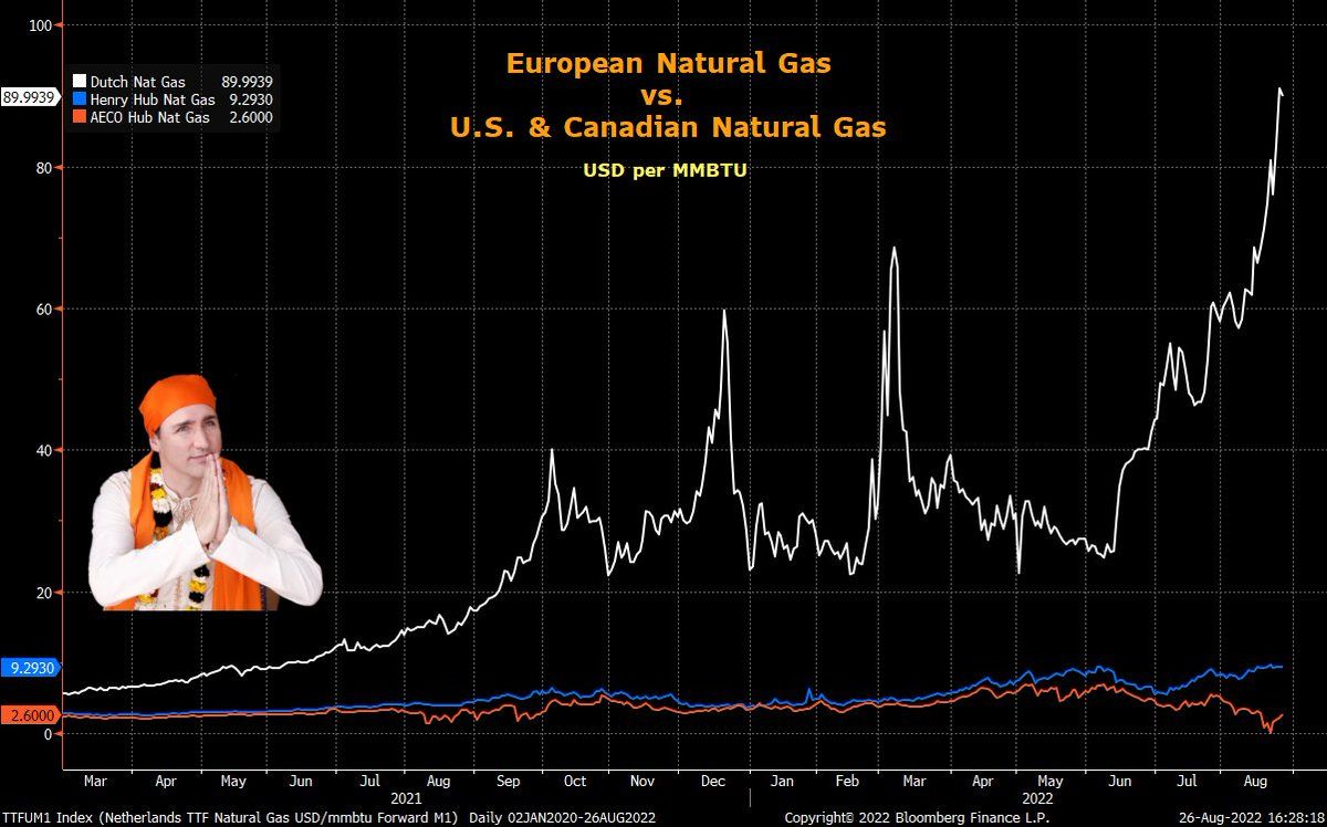 oh my god twitter doesn’t include alt text from images in their API