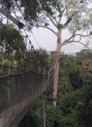 kakum canopy walk