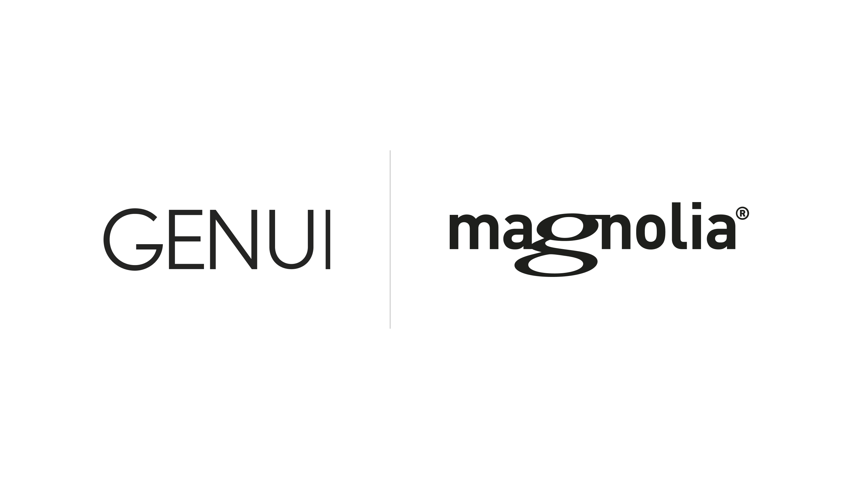 Tech & Product DD | Acquisition | Code & Co. advises GENUI Partners on Magnolia