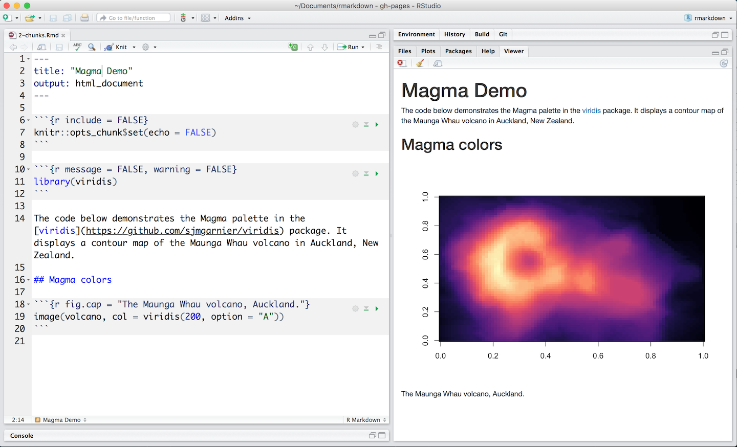 rmarkdown echo