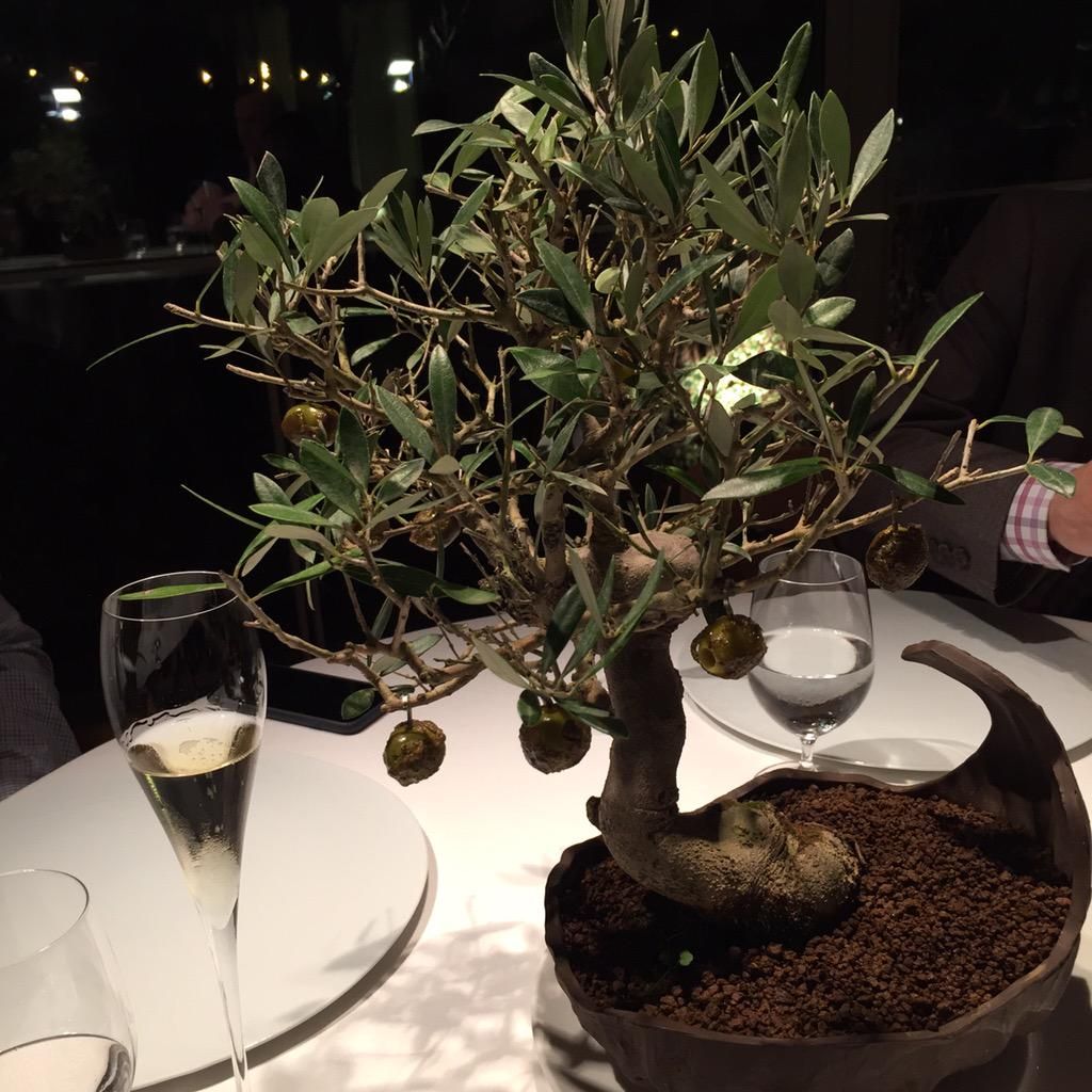 oh my god twitter doesn’t include alt text from images in their API