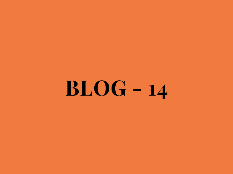 Blog Number 14