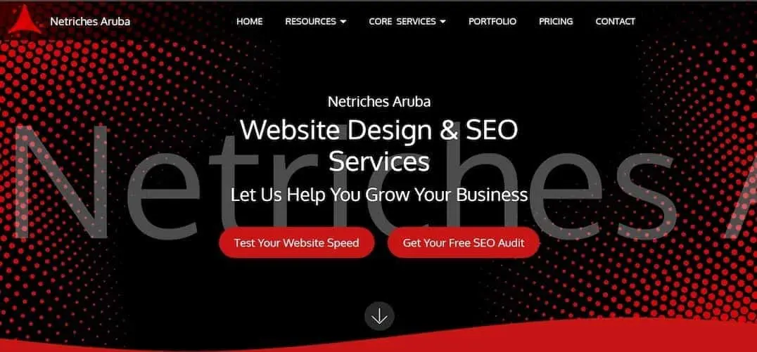 Netriches-Aruba-website-design-seo-services