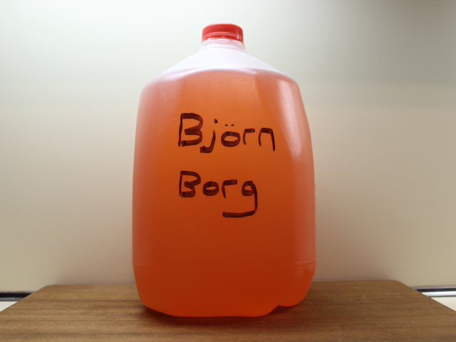 WTF Is a 'Borg' and Why Are Gen Zers Drinking Vodka Water Out of Gallon  Containers?