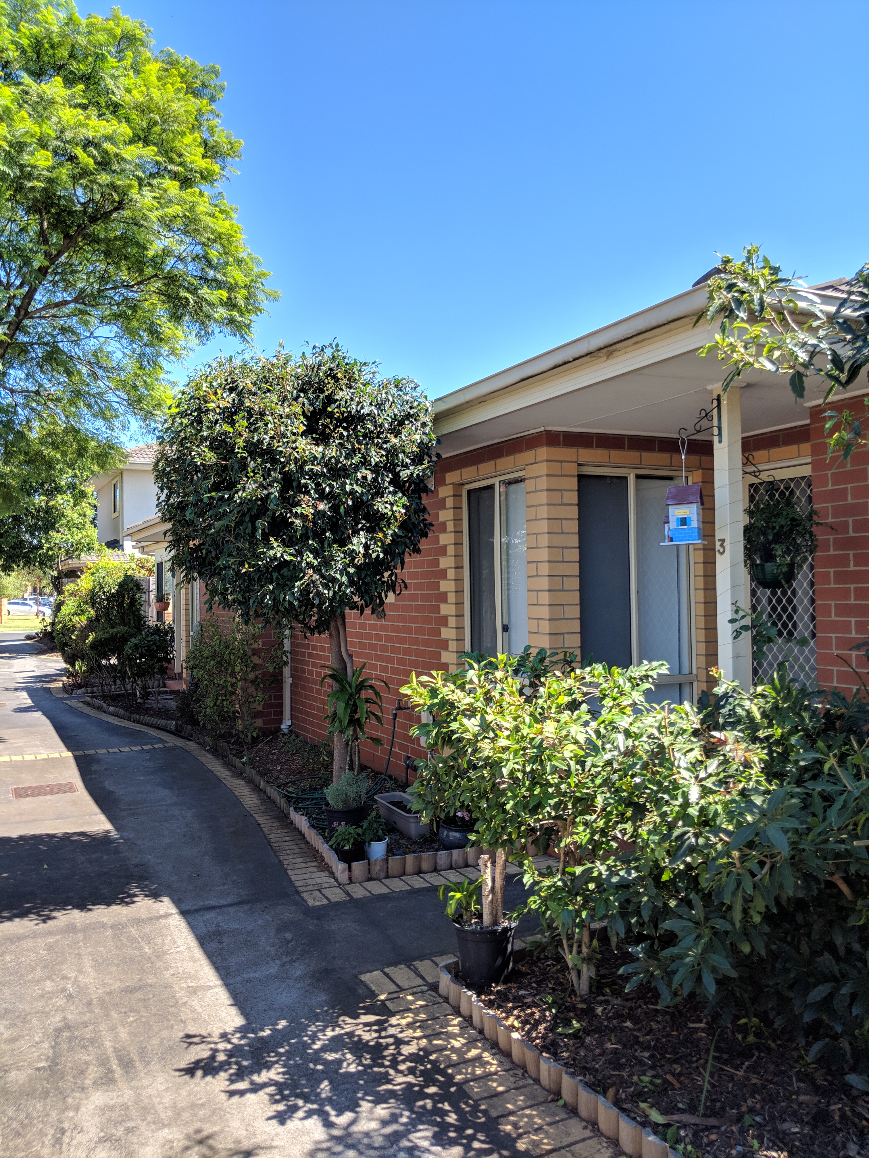 recent landscaping work image 8