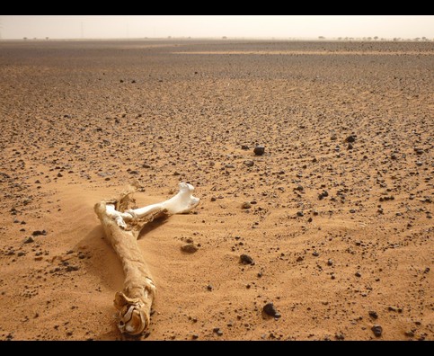 Sudan Meroe Sand 23