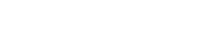 SecretService™ Logo