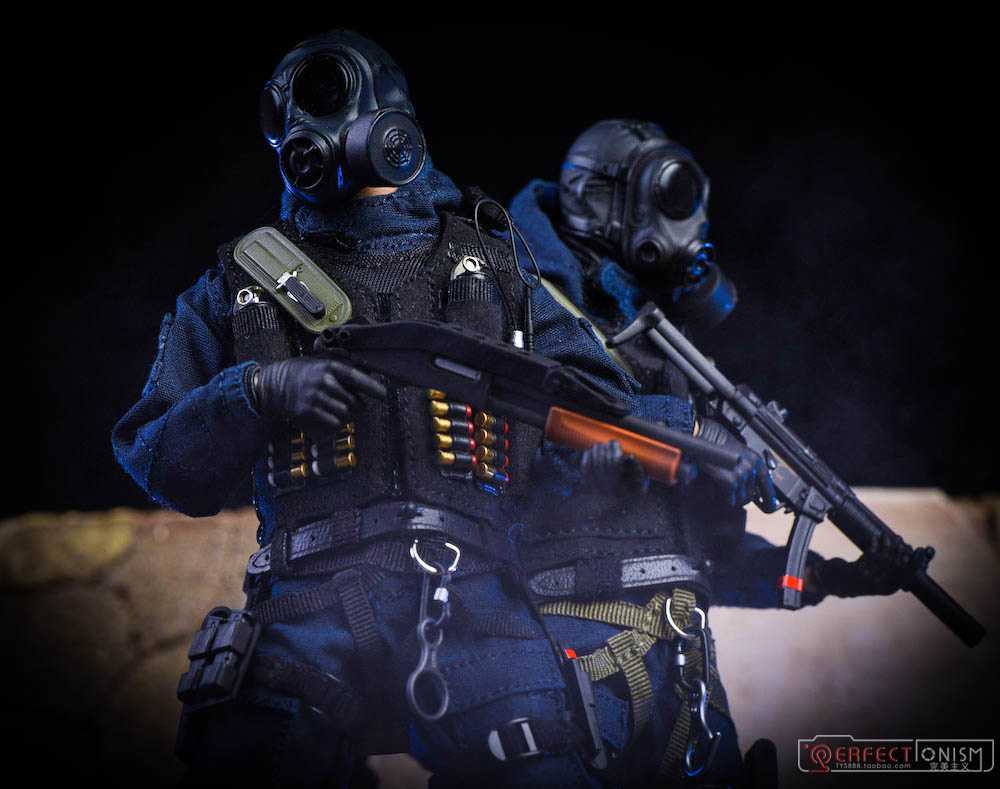 sas model figures