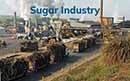 Duplex Steel Flange In Jaipur in Sugar Industry