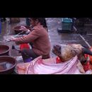 China Yunnan Butchers 5