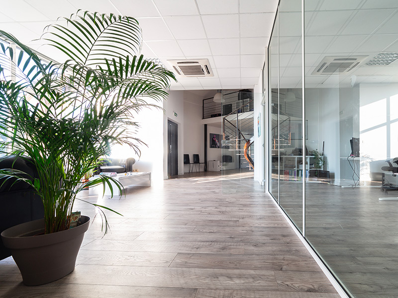 Agence SEA Toulouse