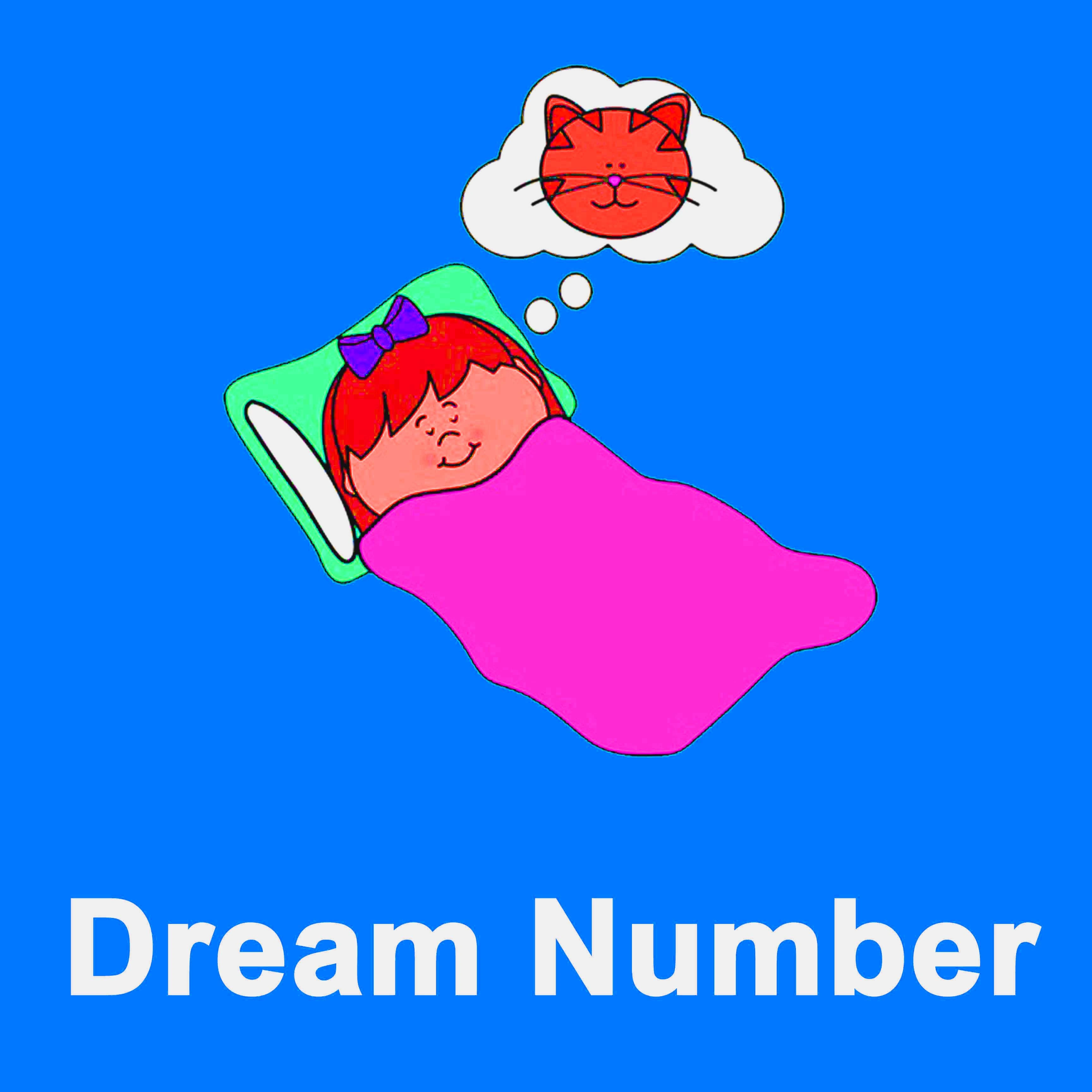 Teer Dream Numbers
